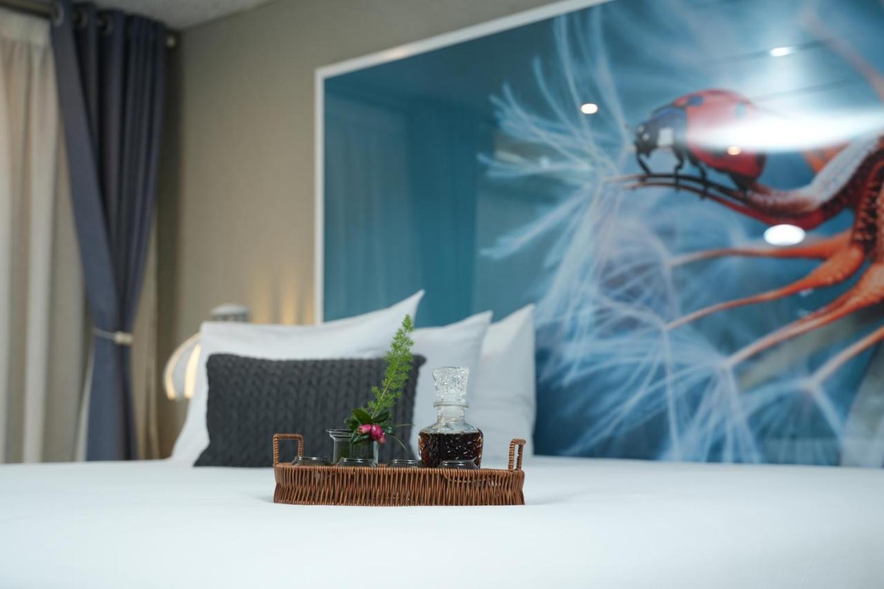 Jose Guesthouse Kempton Park Zewnętrze zdjęcie
